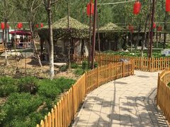 -草根堂农场