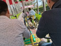 -合肥滨湖国家森林公园