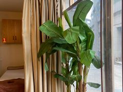 -筋骨堂热敷推拿按摩(枫林绿洲店)