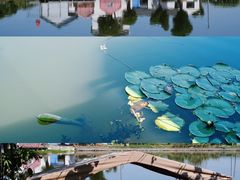 -水岸居湖景农家乐·阳澄湖大闸蟹