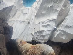 -海合安武汉极地海洋公园