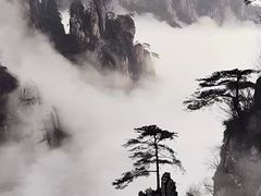 -缙云山景区