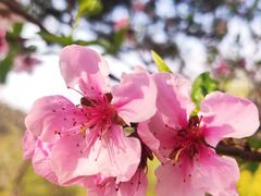 -香山公园