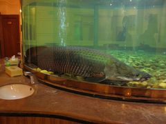 -肇庆奥威斯酒店