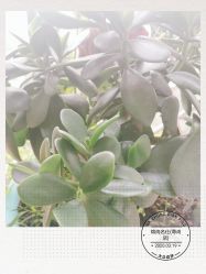 -锦尚名仕Hair Salon