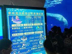 -泉城欧乐堡海洋极地世界