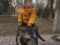 -国家动漫园