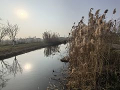 -长田漾湿地公园