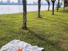 -艾溪湖湿地公园