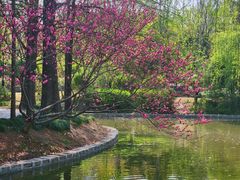 -上海交通大学(闵行校区)