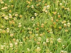 -成都中医药大学(温江校区)