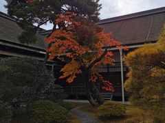 -京都御所