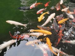-广州花园酒店