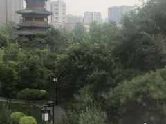 -迎泽公园