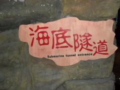 -左海海底世界