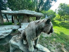 -北京野生动物园