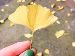 -金堂县云顶石城风景区