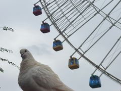 -南昌之星摩天轮