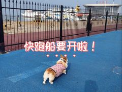 -长岛南北长山旅游景区