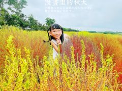 -映月湖中央公园