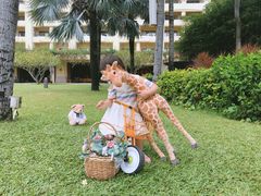 -三亚亚龙湾天域度假酒店