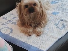 -星巴克(夏日百货店)