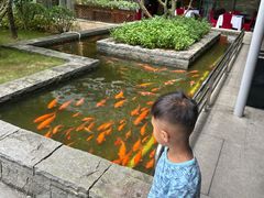 -南宁荔园维景国际酒店·荔园中餐厅