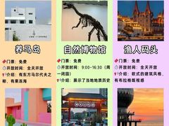 -养马岛旅游度假区