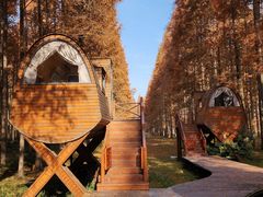 -黄海国家森林公园