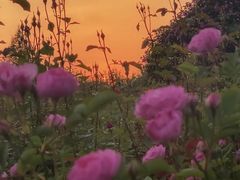 -尚贤河湿地