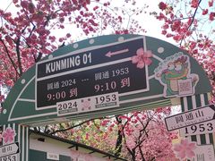 -昆明动物园