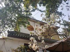 -三圣花乡旅游区