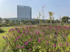 -春花秋色城市公园