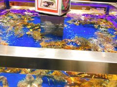 -盒马鲜生(顺义店)