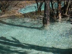 -黄龙山原始森林景区
