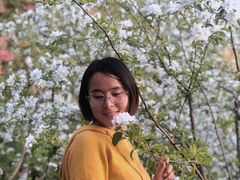 -渭南桃花源民俗文化园