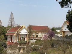 -报恩禅寺