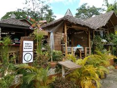 -Jungle Kitchen