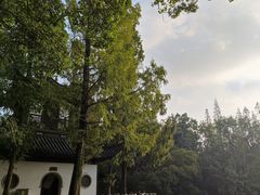 -汇龙潭