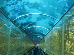 -鹿院坪生态旅游景区