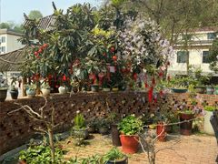 -小洞天柴火土菜馆