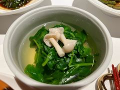 -西郊5号·Maggie 5