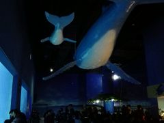 -常州海昌海洋探索馆