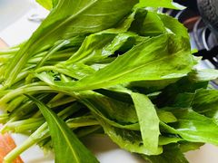 藏红花苗-顺顺小吃(独克宗古城店)