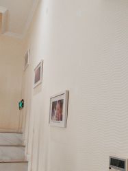 -SILKTONE诗丽堂美容