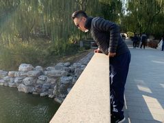 -大兴滨河森林公园