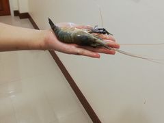 -兰坡海鲜市场