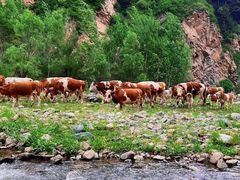 -五台山风景名胜区