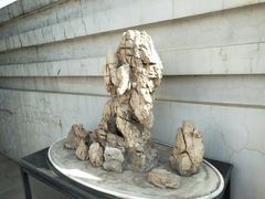 -石家庄市植物园