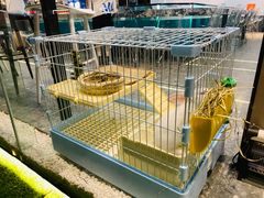 -SHRIMP CLUB万东餐饮钓虾·清吧